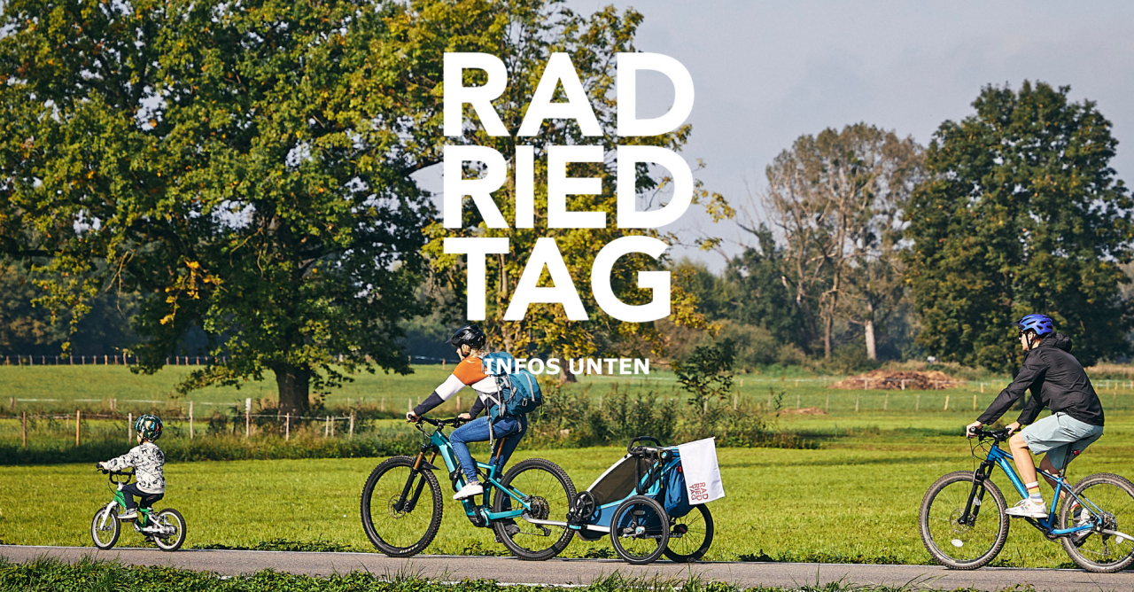 Eine Familie per Rad unterwegs auf den autofreien Straßen im Ried bei blauem Himmel, Sonnenschein und grünen Wiesen