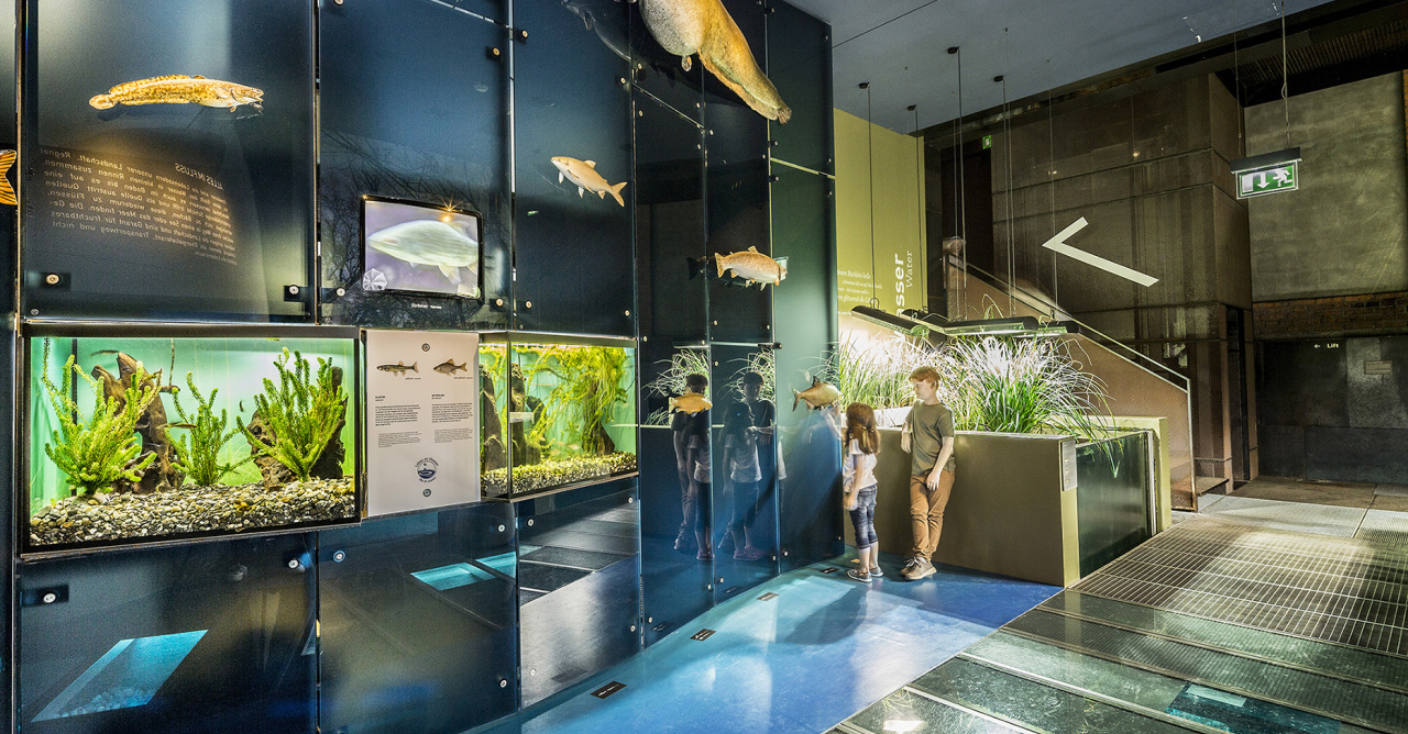 inatura Museum Ausstellungsraum Wasser