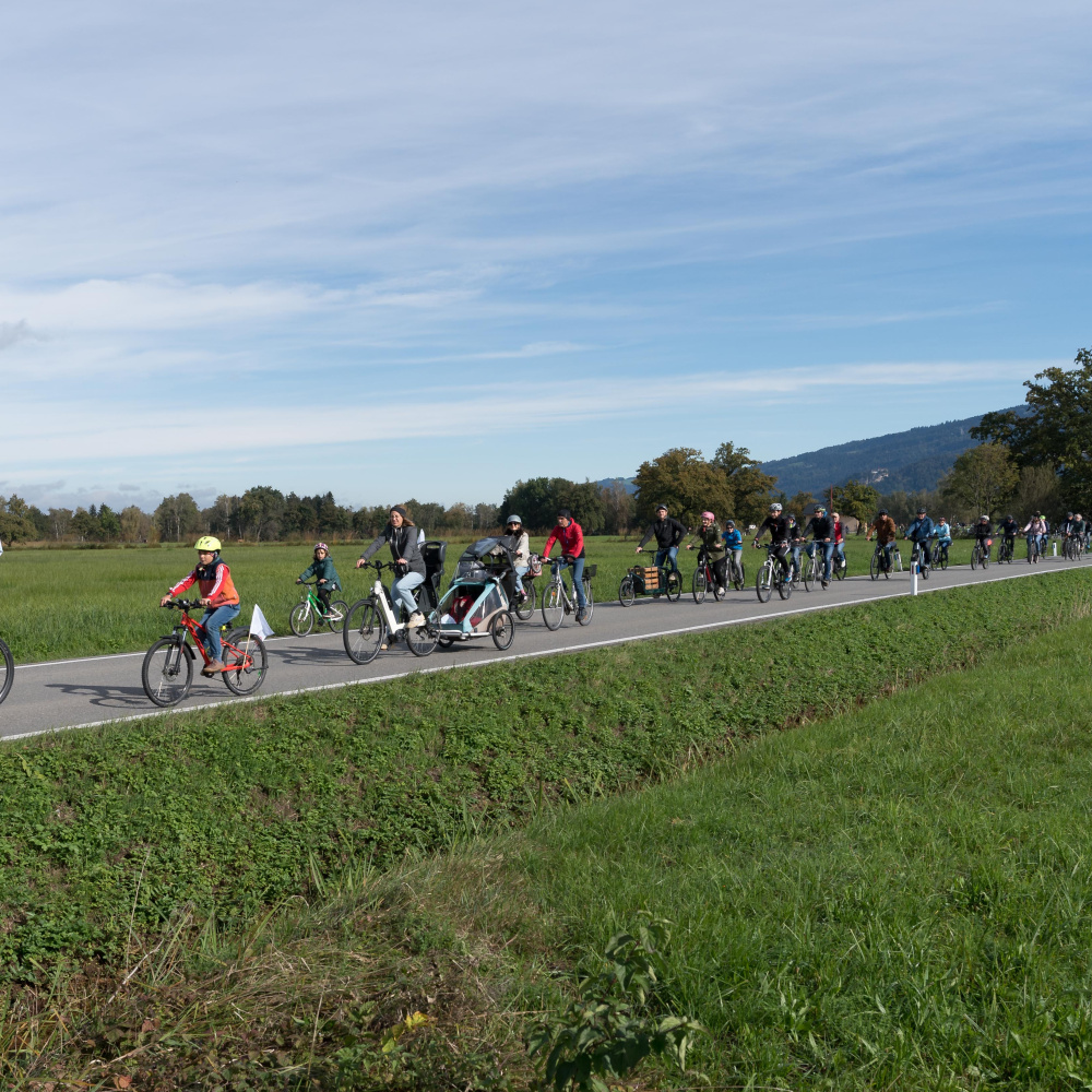 Viele Radfahrer:innen gemeinsam unterwegs auf den autofreien Straßen im Ried bei schönem Herbstwetter