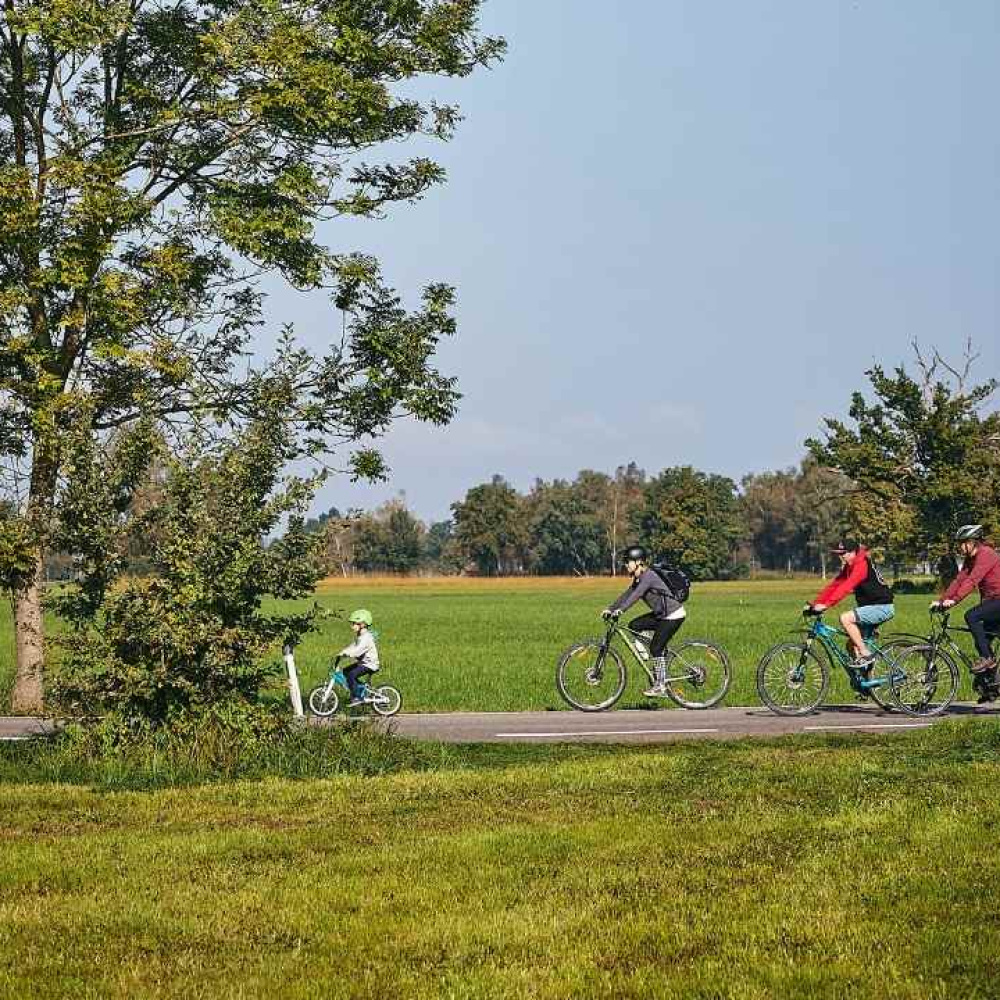 Drei Radfahrer:innen unterwegs auf den autofreien Straßen im Ried bei blauem Himmel und grünen Wiesen