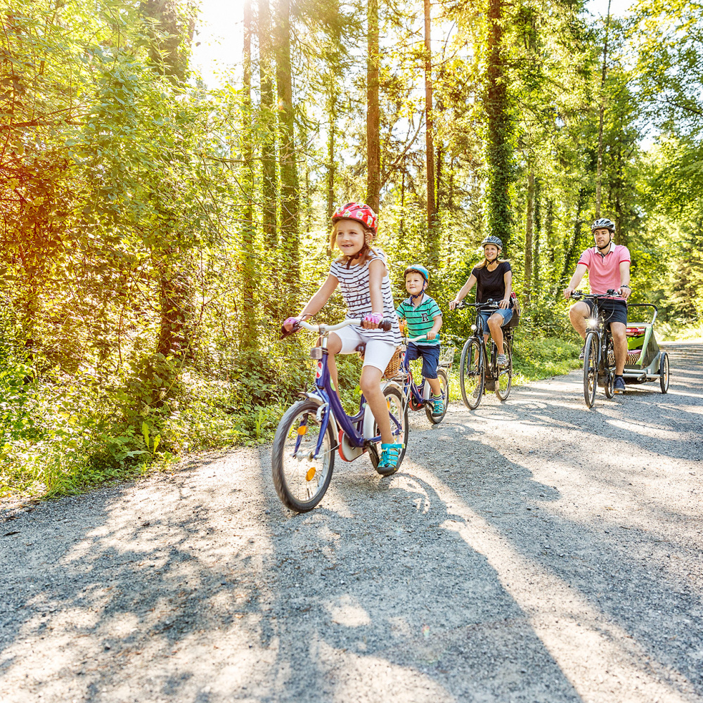 Familie auf einem Radweg im Wald