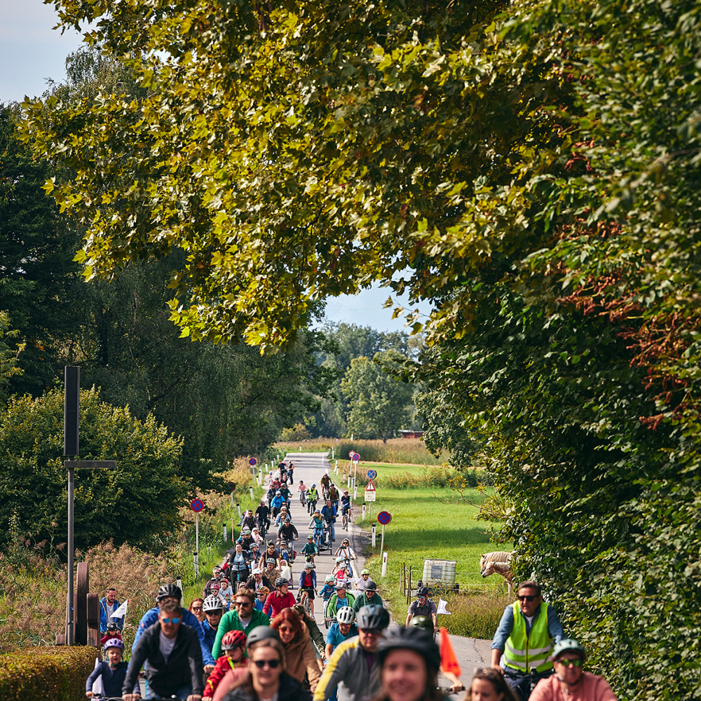 Radfahrer:innen unterwegs auf den autofreien Straßen im Ried bei schönem Wetter