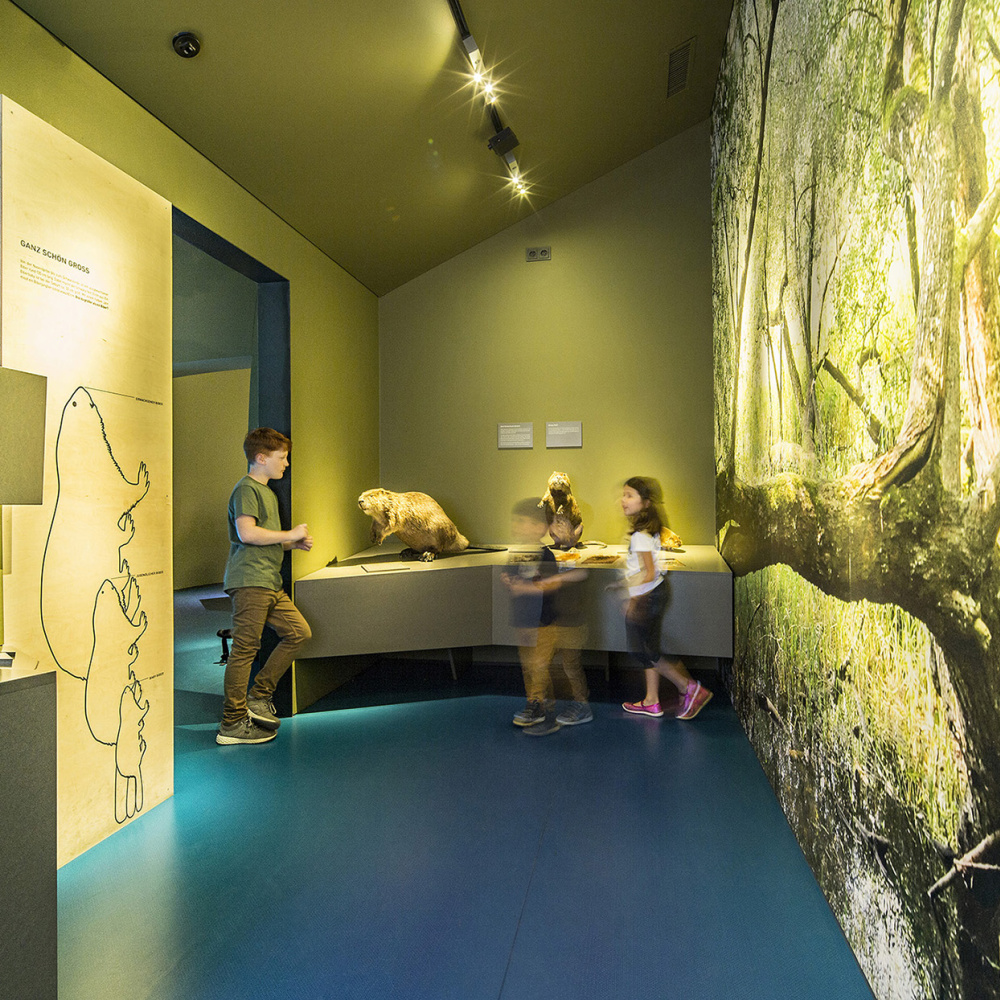 inatura Museum: Kinder in Naturmuseum