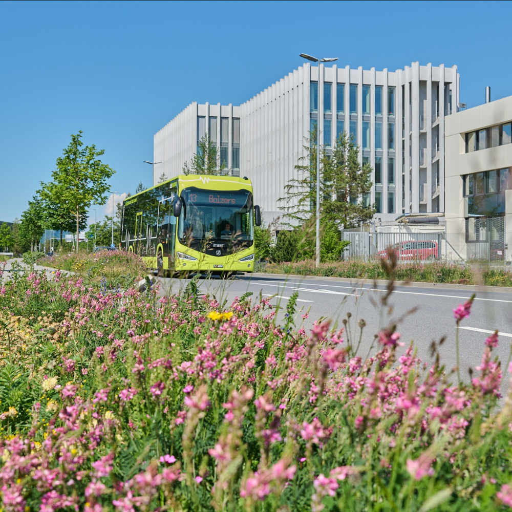 LIEmobil Bus im Frühling