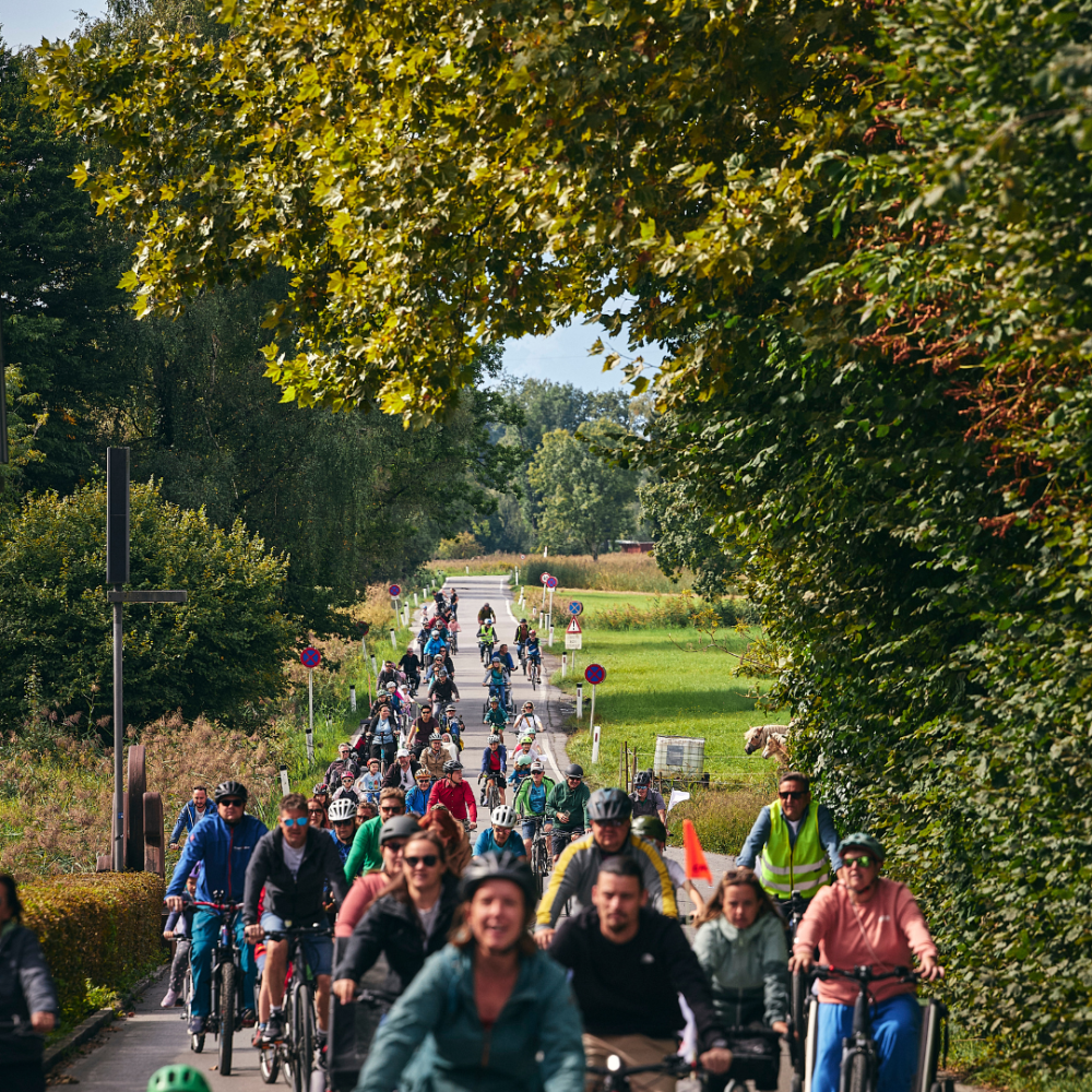 Radler:innen fahren gemeinsam durch das Ried