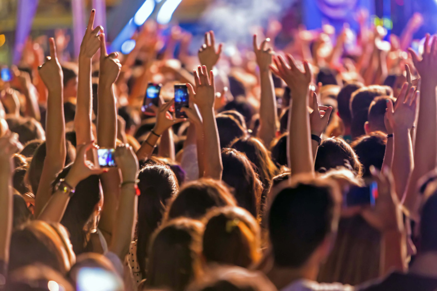 feiernde Menschenmenge bei einem Konzert