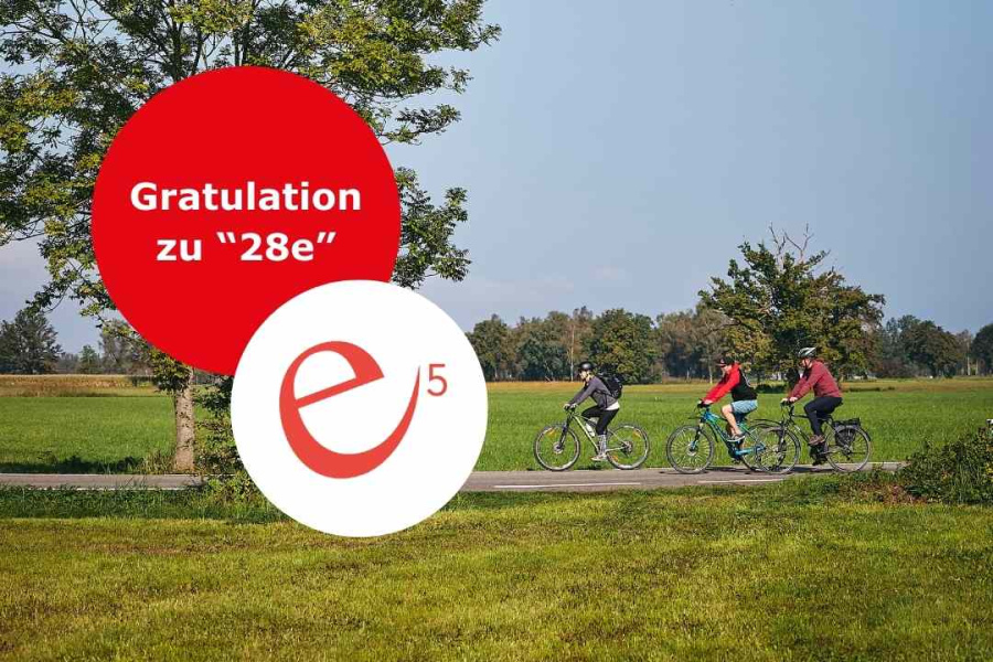 Drei Radfahrer:innen unterwegs auf den autofreien Straßen im Ried bei blauem Himmel und grünen Wiesen