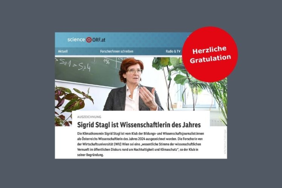 Screenshot eines ORF-News-Beitrag