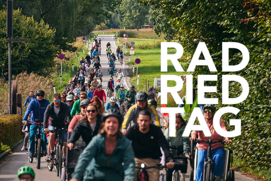 Radler:innen fahren gemeinsam durch das Ried